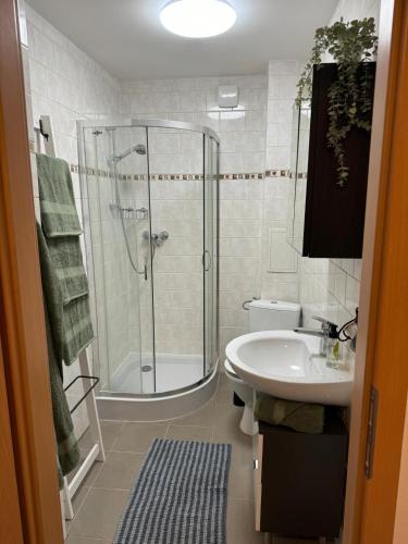 a bathroom with a shower and a sink at Charmante Zentrale 2 Raum Wohnung in Chemnitz