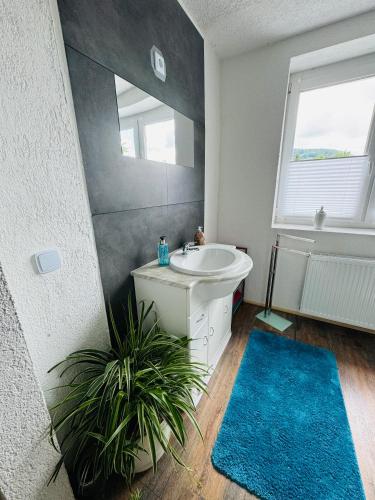a bathroom with a sink and a mirror at Sollstedt Ferienwohnung in Sollstedt