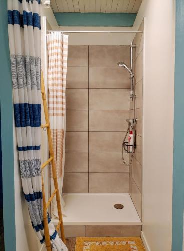 a shower in a bathroom with a shower curtain at Eskal Péi - Auberge de Jeunesse & Chambres d'hôtes in Étang-Salé