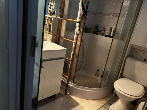 a bathroom with a shower with a toilet and a sink at Apparemment Blagnac proche TRAM in Blagnac
