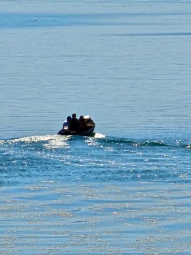 a group of people in a boat on the water at Lakeview Apartments Jolicic in Virpazar