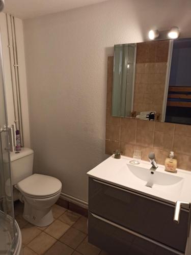 La salle de bains est pourvue de toilettes et d'un lavabo avec miroir. dans l'établissement Maison 4 à 6 personnes climatisée, à Port-Leucate