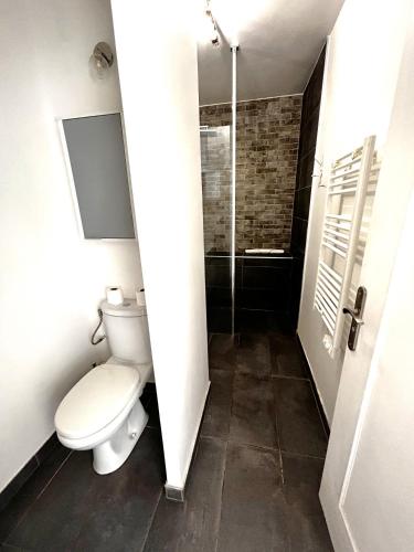 La salle de bains est pourvue de toilettes et d'une douche à l'italienne. dans l'établissement Superbe studio, 200 m de la mer, climatisé avec terrasse et parking privé, à Cagnes-sur-Mer