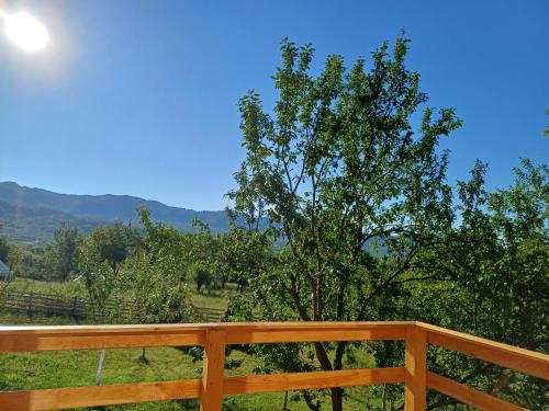 a wooden deck with a tree and mountains in the background at COLȚ DE RAI - A Frame in Corbi