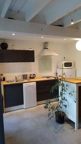 une cuisine avec un réfrigérateur blanc et un évier dans l'établissement Maison à la campagne, à Les Brouzils