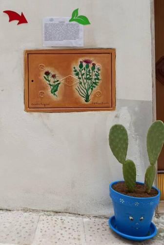 a cactus in a blue pot next to a wall at Amazing Gargano in Ischitella