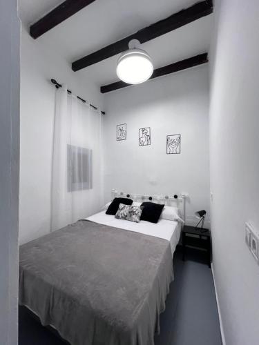 Isena 2 centro Alicante