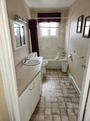 a bathroom with a sink and a toilet at Appartement de la rive in Shippagan