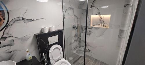 a bathroom with a toilet and a glass shower at Villa Crystal in Sarandë