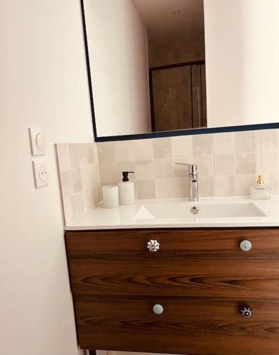 une salle de bain avec un lavabo et un miroir dans l'établissement Cocon à 5 mn du circuit des 24h, au Mans