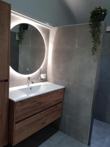 a bathroom with a sink and a mirror at MemHill in Exloo