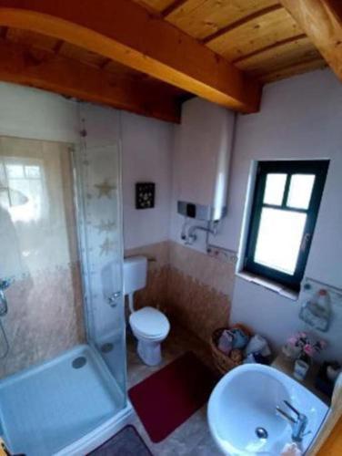 a bathroom with a shower and a toilet and a sink at Panorámaház Lovason in Lovas
