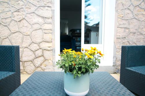 Appartement avec terrasse privée, plage à pied