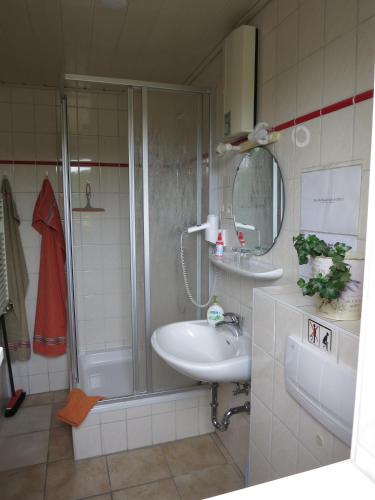 a bathroom with a shower and a sink and a mirror at Bungalow am Osterteich in Gernrode - Harz