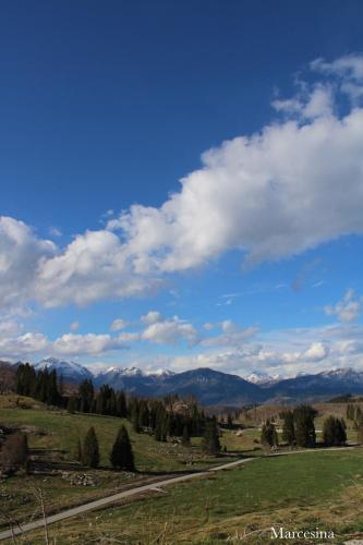 a view of a field with mountains in the background at I profumi del bosco in Enego