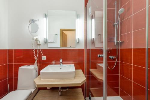 a bathroom with a sink and a shower at Landhotel Zur Schmiede in Göhren-Lebbin