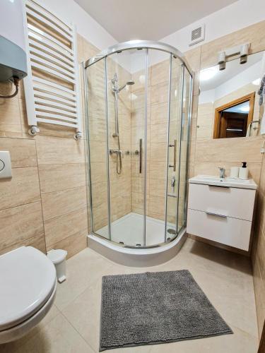 a bathroom with a shower and a toilet and a sink at Apartamenty INTERDOM in Zakopane