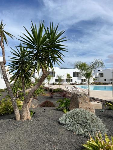 a resort with palm trees and a swimming pool at Casita Oliva - Piso de diseño en Fuerteventura in La Oliva