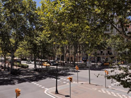 Barcelona Central Park II