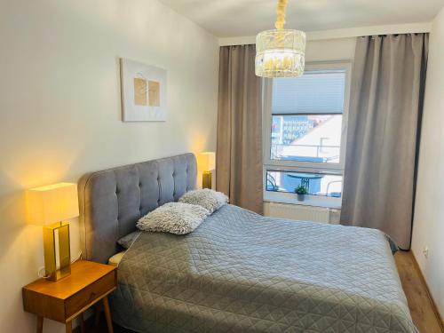 sypialnia z łóżkiem i oknem w obiekcie Złote Apartamenty 58 w mieście Legnica