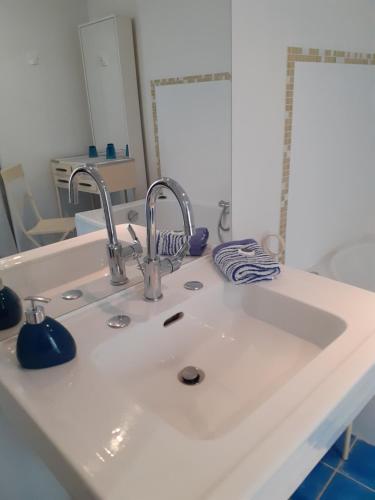 a bathroom sink with two faucets and a mirror at Le Jas Du Colombier in Moustiers-Sainte-Marie