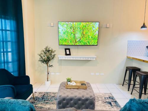 Falcon Oceanview 2br Condo-Airport Transportation Available-24-7Securityにあるテレビまたはエンターテインメントセンター