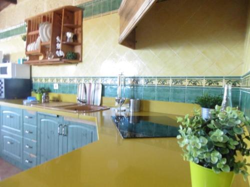 a kitchen with a yellow counter top with a potted plant at Casa rural con piscina privada in Güimar