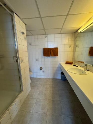 a bathroom with a sink and a shower at Ouwe Schuure in Sluis