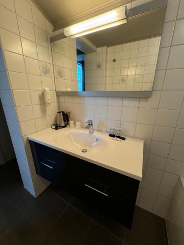 a bathroom with a sink and a mirror at Ouwe Schuure in Sluis
