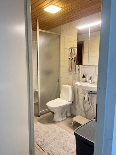 Un baño con inodoro, ducha y lavabo. en Studio in Paimio, en Paimio