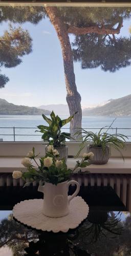 a vase with flowers on a table with a window at Lake Como PORTO VECCHIO in Domaso