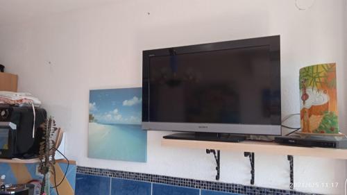 studio cabine islas de rosas