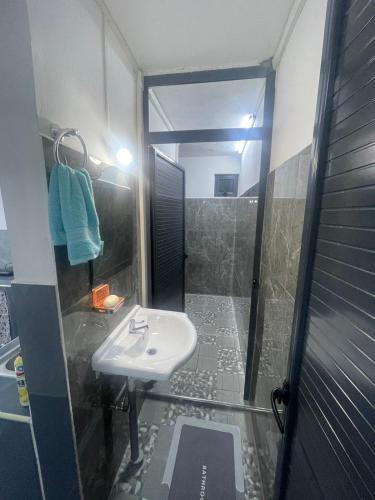 a bathroom with a white sink and a shower at Vue de Vallee in Port Louis