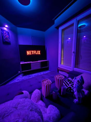 Appartement unique - Centre ville