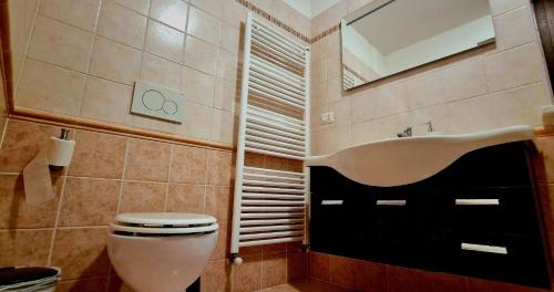 een badkamer met een wastafel en een toilet bij Monferrato AgriCottage Valentina in Calliano