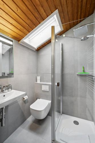 a bathroom with a toilet and a sink and a skylight at Almglück in Steibis in Oberstaufen