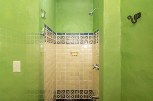 a bathroom with a shower with green walls at Finca Rosa Blanca Coffee Farm and Inn in Heredia