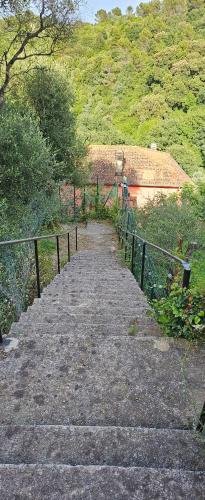 a stairway leading up to a building on a hill at CASA AMELIA in Le Grazie
