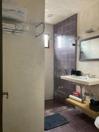 a bathroom with a shower and a sink and a mirror at Estudio en García Gineres in Mérida