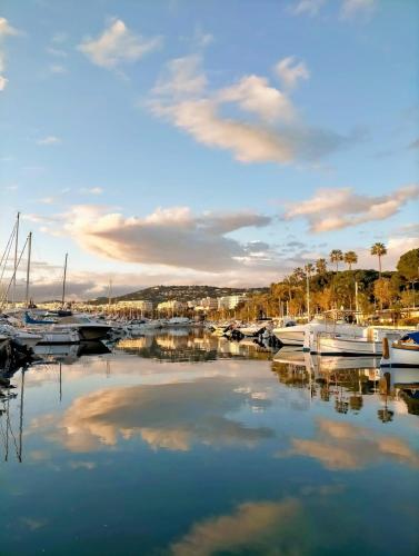 Chambre cosy dans T3