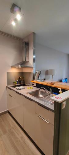 une cuisine avec un évier et un plan de travail dans l'établissement Thabor-centre-METRO-commerces, à Rennes