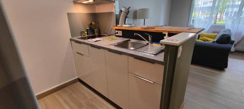 Dapur atau dapur kecil di Thabor-centre-METRO-commerces