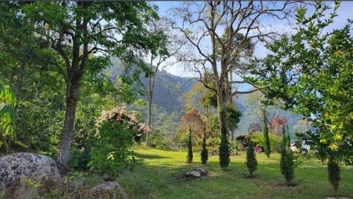 a park with trees and rocks in the grass at Casa Finca Madrid Mazzitelli in Támesis