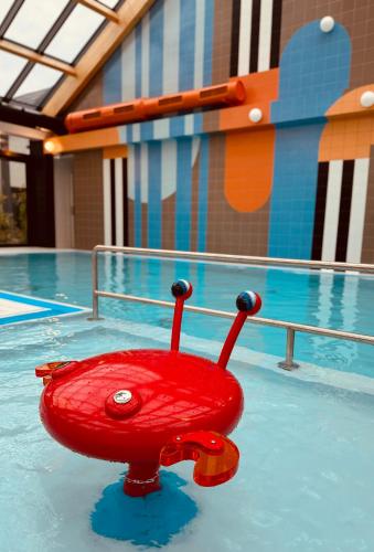 a red toy on top of a swimming pool at Morze Niechorze Domy całoroczne in Niechorze