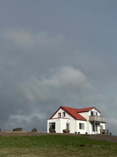 a white barn with a red roof on a field at Sauðanes Guesthouse in Höfn