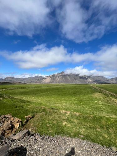 a field of grass with a mountain in the background at Sauðanes Guesthouse in Höfn