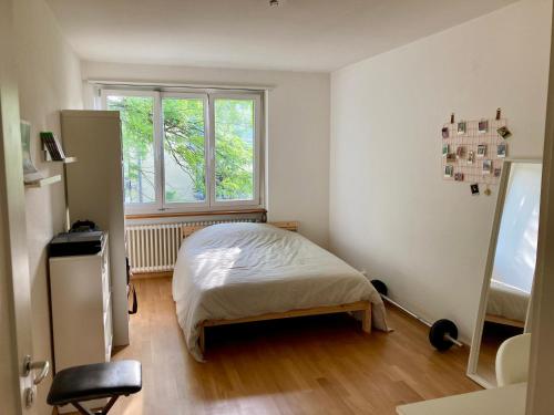 Altbau near St Alban Tal