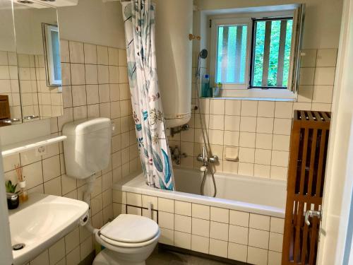 Altbau near St Alban Tal