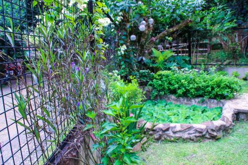a garden with a pond with plants and a fence at Camote's Lake Retreat in Cavinti