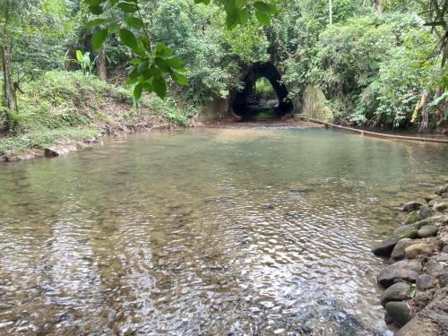 Landskap semula jadi dekat dengan rumah percutian
